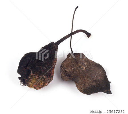 Dried pears on a white background 25617282