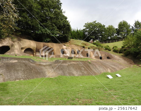 柏谷公園 25617642