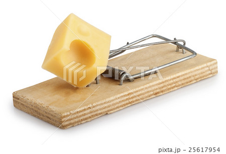 Mousetrap with cheese isolated on white Mousetrap with cheese isolated on white 25617954
