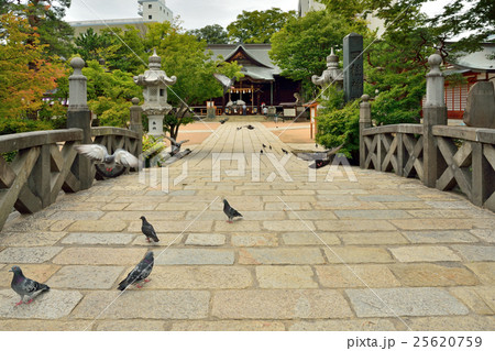 松本散歩：四柱神社 25620759