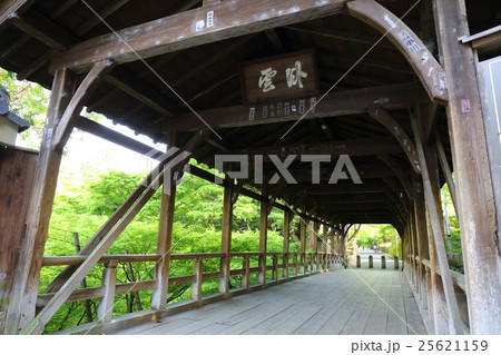 京都 東福寺 臥雲橋の写真素材