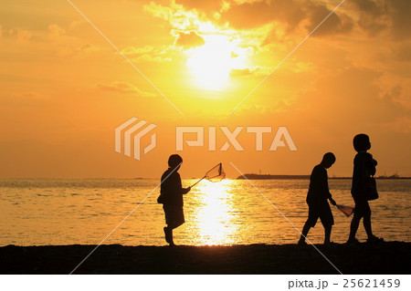 浜辺を帰る子どもの影と虫取り網 25621459