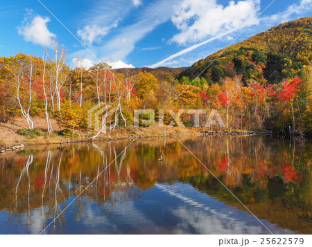 まいめの池の紅葉 まいめの池の紅葉 25622579