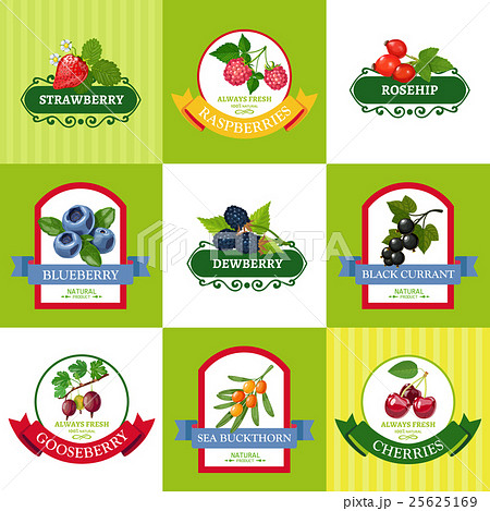 Fresh Berries Labels Flat Icons Set 25625169
