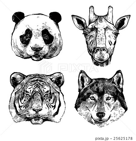 Hand Drawn Animals Portraits 25625178