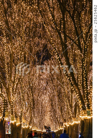 杜の都仙台の冬の風物詩SENDAI光のページェント光の回廊LEDどこまでも続くイルミネーションが綺麗 25625462