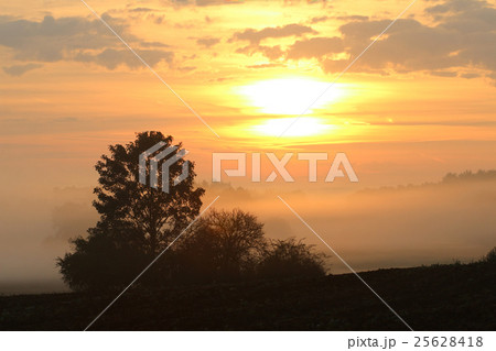 Rising sun over rural countryside 25628418
