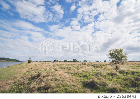 Plains with tall grass and blue sky Plains with tall grass and blue sky 25628443