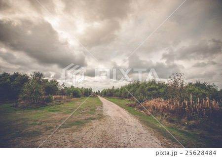Long nature trail in cloudy weather 25628484