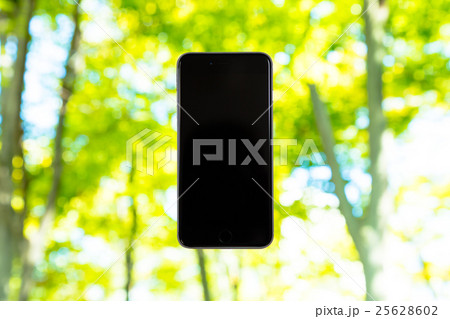 スマホと新緑イメージ 合成用背景素材 緑の背景 植物 春 初夏 木漏れ日 緑とコピースペース スマホと新緑イメージ 合成用背景素材 緑の背景 植物 春 初夏 木漏れ日 緑とコピースペース 25628602