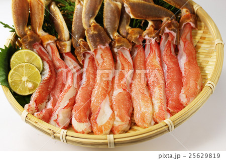 ずわいがに　生ポーション　生がに　かにしゃぶ 25629819