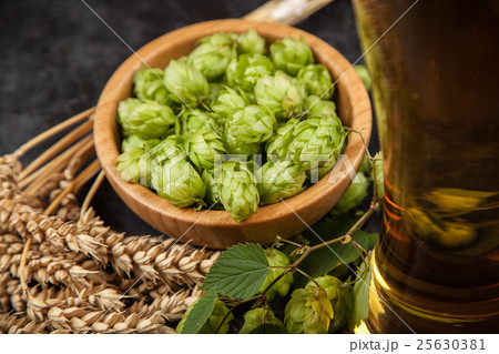 Beer glass on dark background 25630381