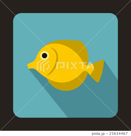 Yellow Tang fish, Zebrasoma flavescens icon 25634467