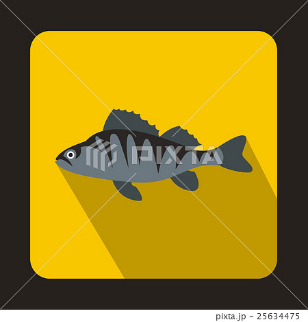 European perch, Perca fluviatilis icon European perch, Perca fluviatilis icon 25634475