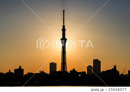 夕日と東京スカイツリー 夕日と東京スカイツリー 25636077