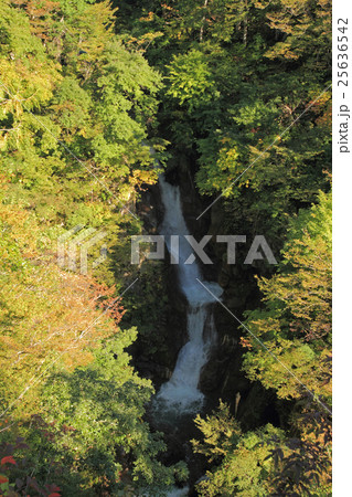 秋山郷 蛇渕の滝の写真素材