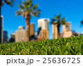 Green grass and skyscrapers. Urban nature concept 25636725