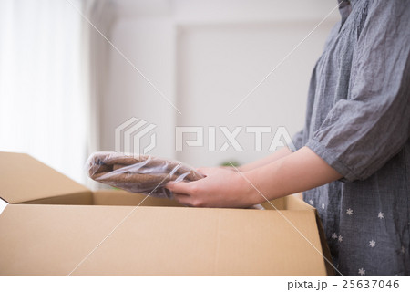 商品 商品 25637046