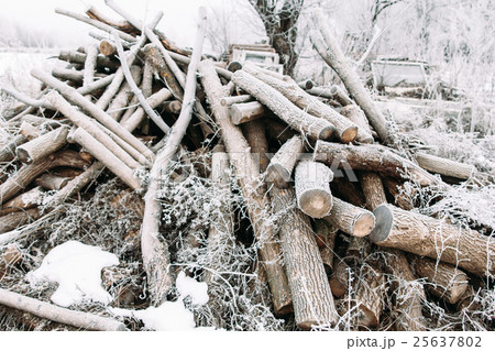 Bunch of frosty firewood in yard 25637802