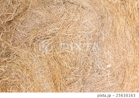 Texture of dry straw 25638163