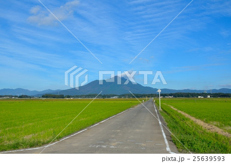 秋晴れの筑波山と田園 25639593