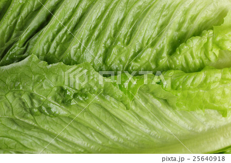 fresh romain green salad close up fresh romain green salad close up 25640918