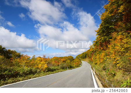 蔵王エコーラインの紅葉 蔵王エコーラインの紅葉 25642003