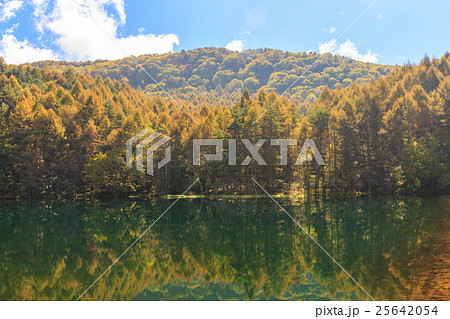 朝もやの御射鹿池 朝もやの御射鹿池 25642054