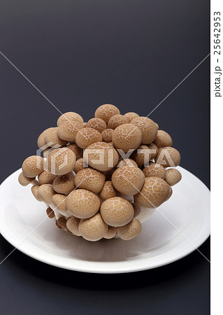 ブナシメジ 25642953