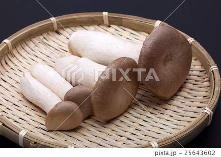 エリンギ エリンギ 25643602