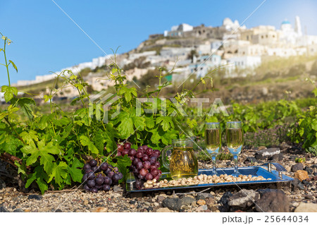 Wine and vineyards Wine and vineyards 25644034