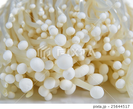 Enoki mushroom, Golden needle mushroom Enoki mushroom, Golden needle mushroom 25644517