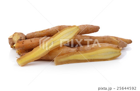 Fingerroot, Kaempfer, Boesenbergia 25644592