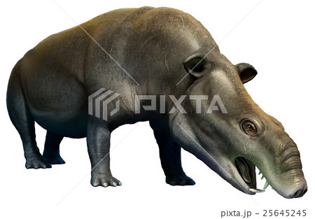 Moeritherium 25645245