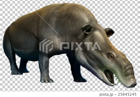 Moeritherium 25645245