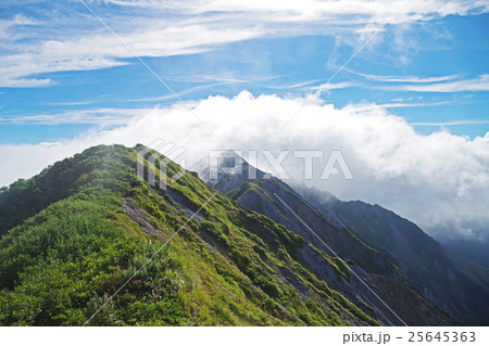 大山の山頂 25645363