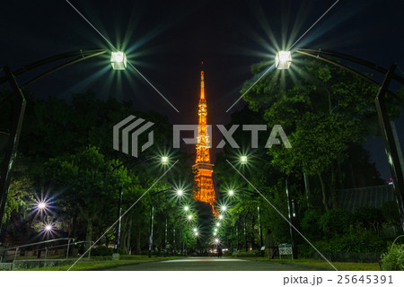 東京タワーと東京都心の夕景・夜景 25645391