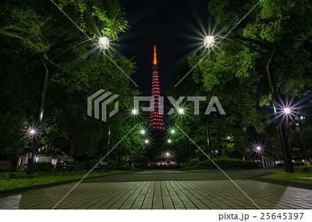 東京タワーと東京都心の夕景・夜景 東京タワーと東京都心の夕景・夜景 25645397