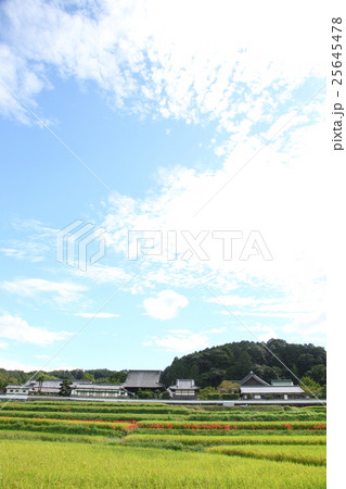 秋の橘寺の全景 25645478