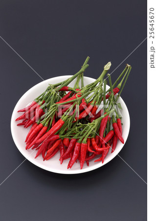 唐辛子 25645670