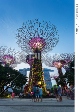 SINGAPORE - August 28, 2016 SINGAPORE - August 28, 2016 25646043