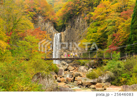苗名の滝の紅葉 25646083