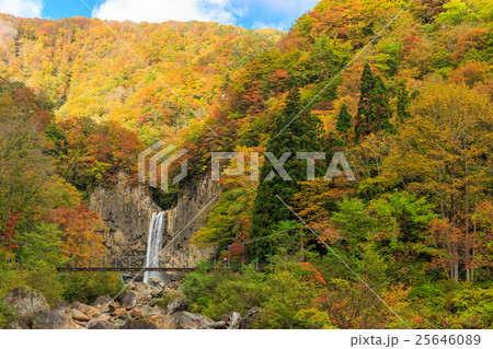 苗名の滝の紅葉 25646089