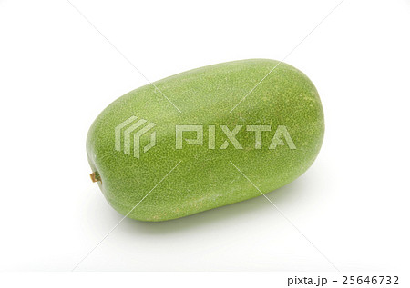 ミニ冬瓜 25646732