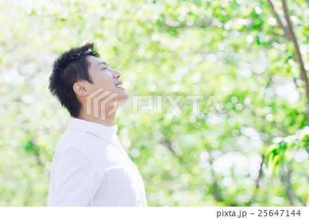 男性　新緑 25647144