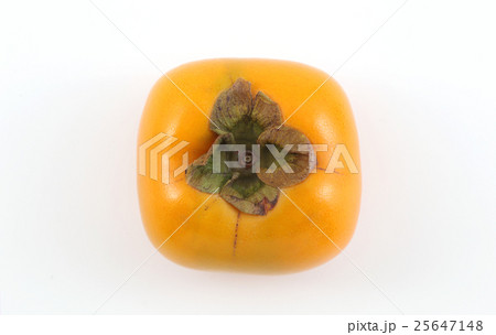 平核無柿 25647148