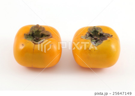 平核無柿 25647149