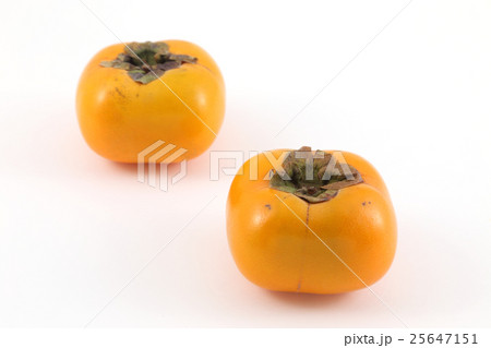 平核無柿 25647151