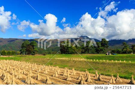 蓼科高原 25647715