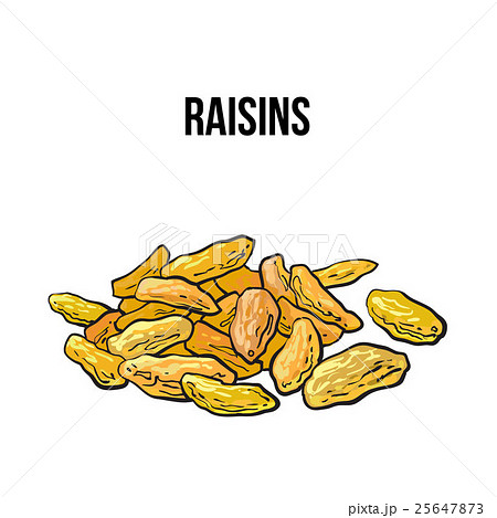 Pile of dried raisins, sketch style, hand drawn 25647873